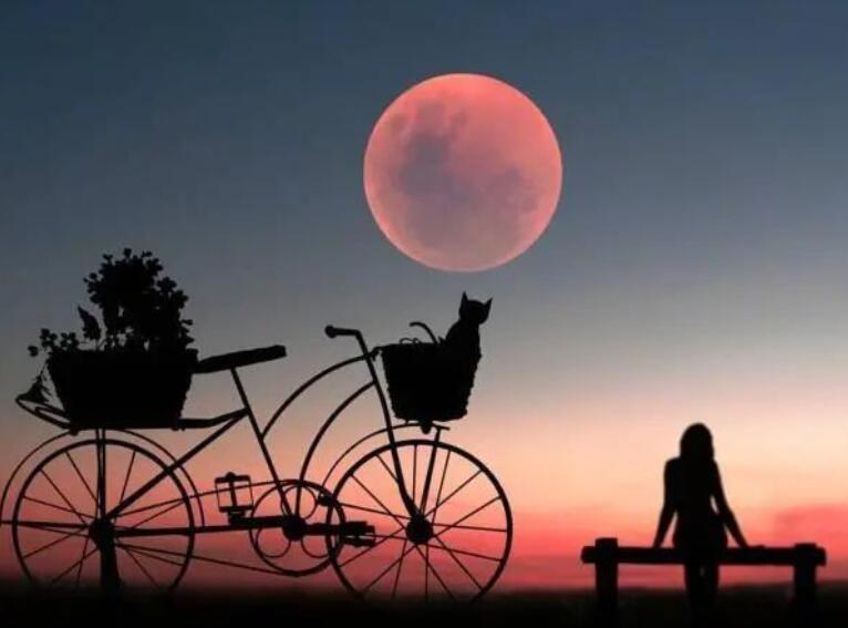 人生感悟的句子文案图片伤感