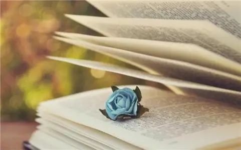 情感语录文案感悟人生