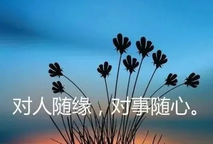 心灵情感语录文案