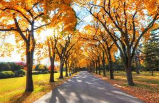 好风景配好心情的说说文案伤感