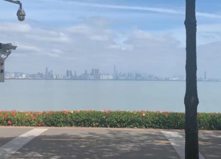 感觉自己堕落了的说说文案