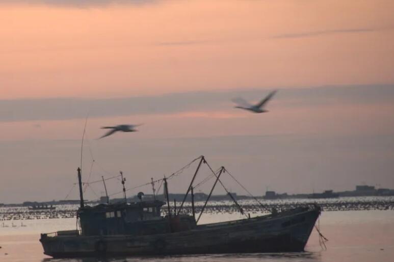 城市慢生活的句子文案