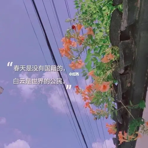 令人心动的春天文案