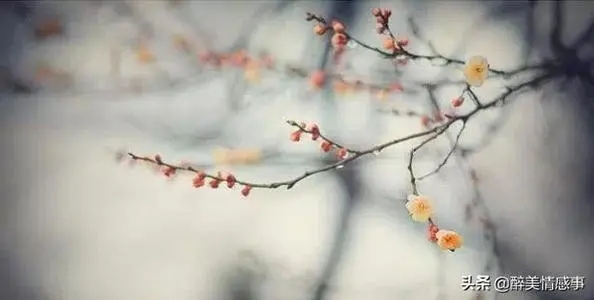 人品问题的句子文案