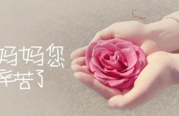 赞美母亲的句子文案