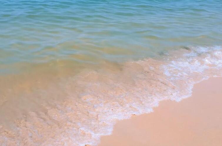 好句文案简短摘抄大全