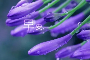 早安正能量心语配图