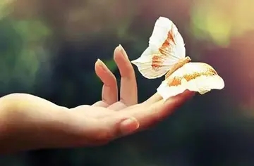 表达心里苦的句子文案