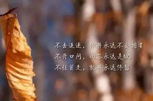 社会深度好句文案