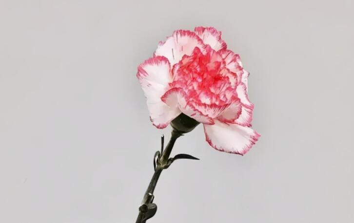 从短发到长发的文案