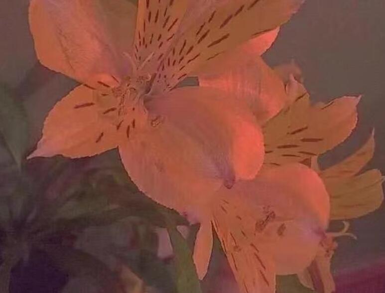 对自己失望的句子文案说说心情