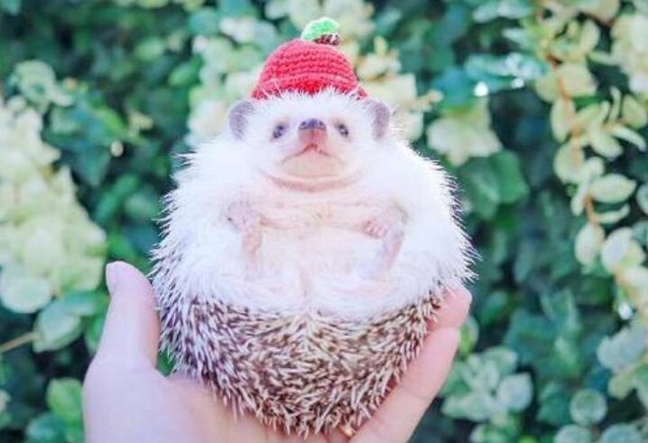 2024年励志早安说说文案