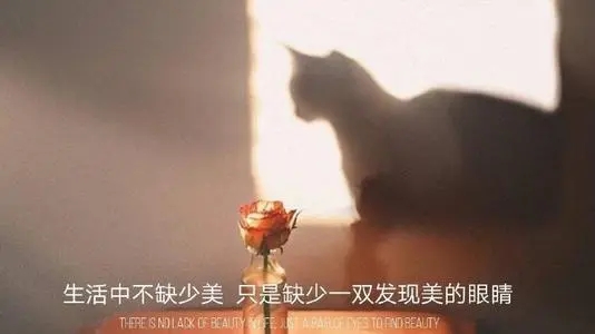 at男朋友的文案