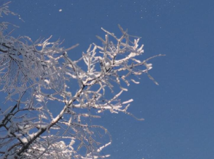岁月流年的唯美一句话