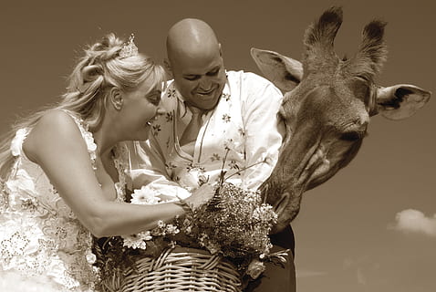 间接表白的句子文案