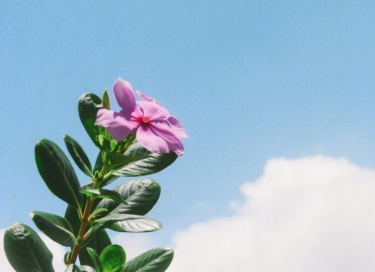 看透人际关系的说说文案