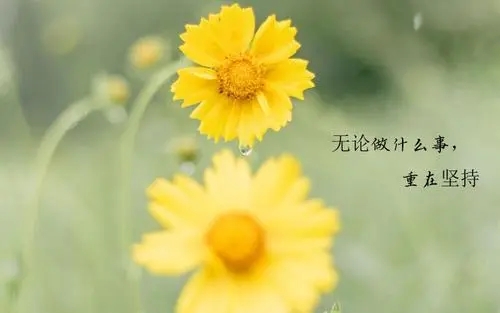 2024女人励志说说文案