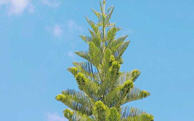 生活靠自己的说说文案