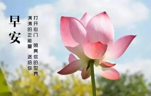 2021早上健康问候语