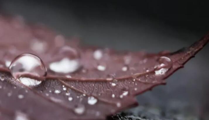 50句优美句子文案短句