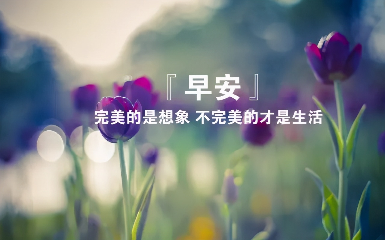 每天早上好的问候语单发