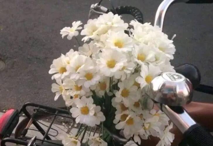 简短祝福语16个字