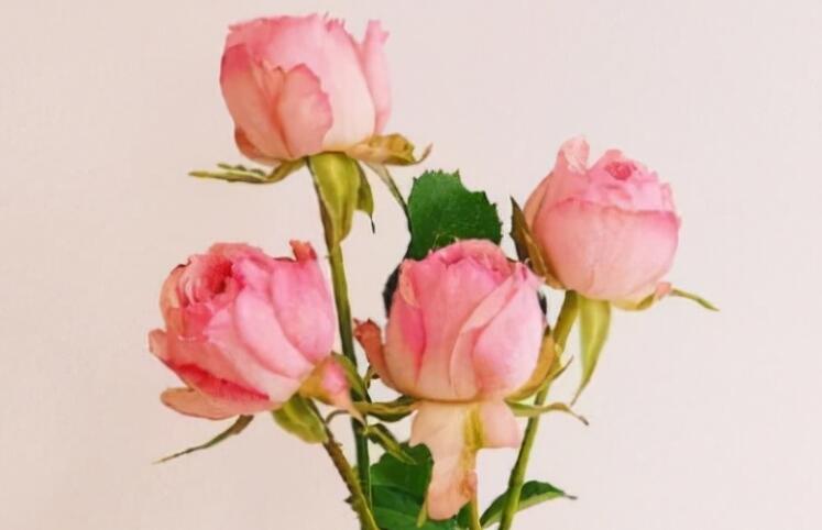 经典语录文案青春励志