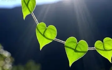 励志的句子文案经典语句