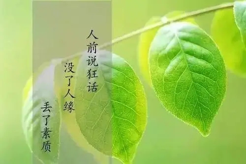 说一个人不真诚的句子文案