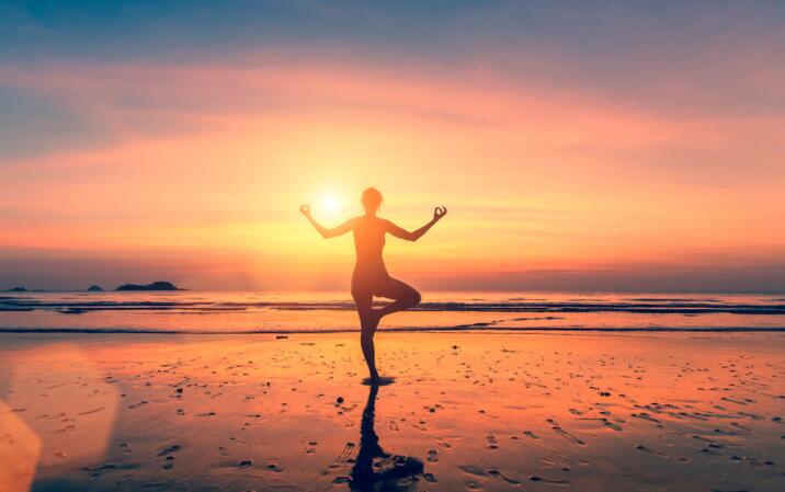 读书笔记摘抄四年级