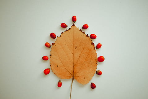 给喜欢的人表白的话长文