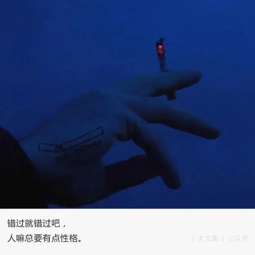 表示不想错过一个人的句子文案