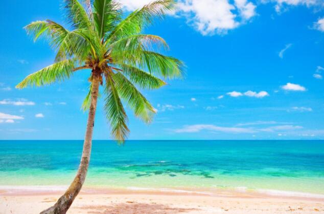 喜欢大海的唯美句子文案