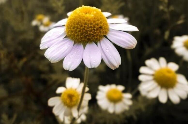 形容天气忽冷忽热的搞笑说说文案