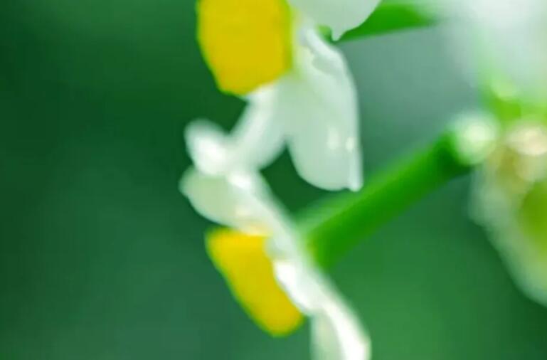 再见三月你好四月短语