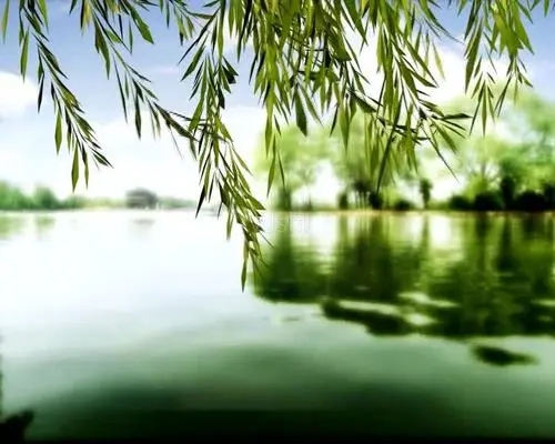 描写春风的优美句子文案摘抄