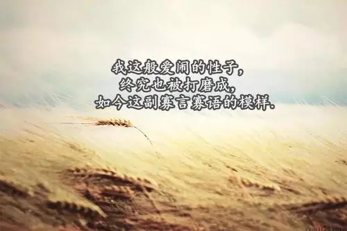 很走心的句子文案用英文怎么说