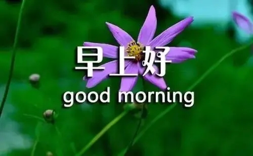 早上好问候美篇_美篇