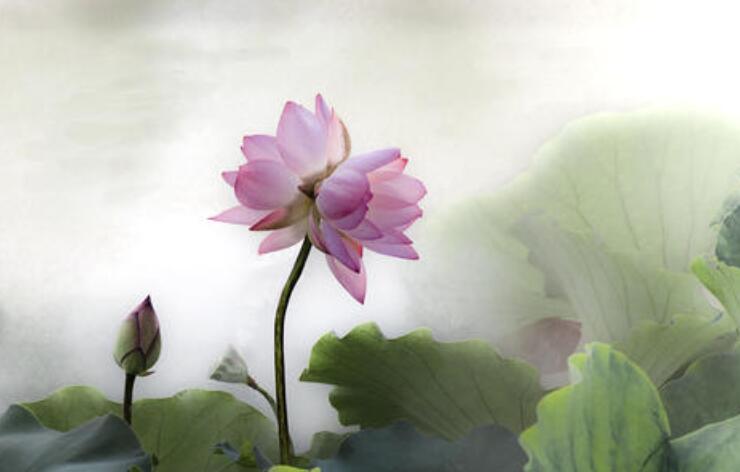 形容做人做事厚道的古诗词