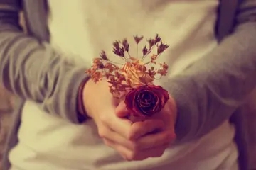 匆匆的来匆匆的走说说文案