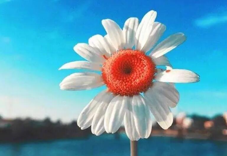 时光语录文案经典唯美