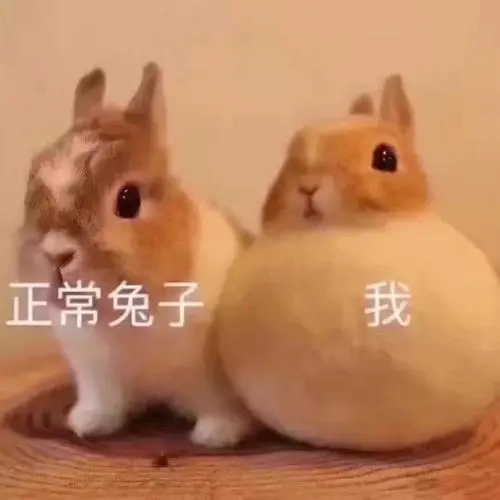 憨憨可爱的文案