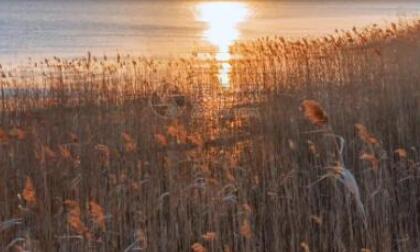 2024早安8个字短句