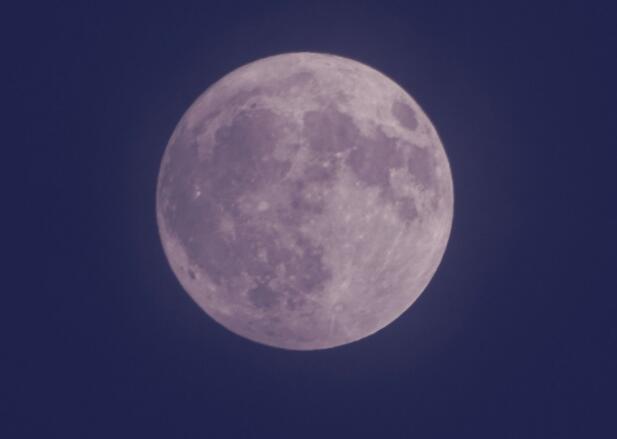 十六的月亮唯美句子文案