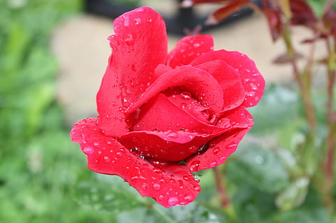 婚礼美好的短句