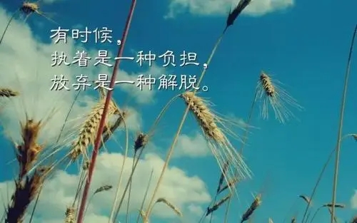 2024年最火的早安句子文案五月