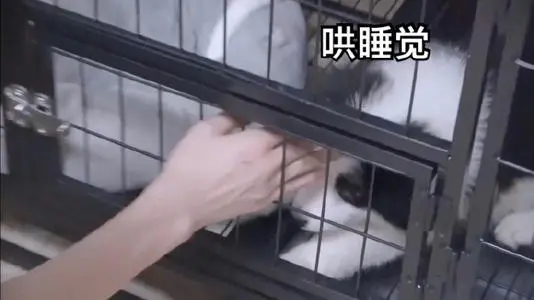 哄男生睡觉的可爱句子文案