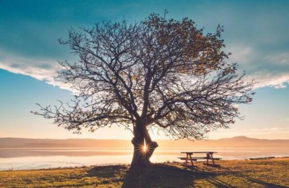 心情短语唯美8字