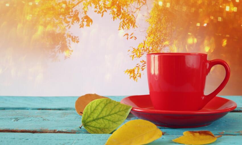 充满阳光的早安问候语