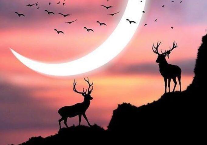 趁着年轻奋斗的句子文案